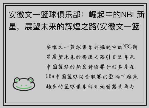 安徽文一篮球俱乐部：崛起中的NBL新星，展望未来的辉煌之路(安徽文一篮球训练基地)